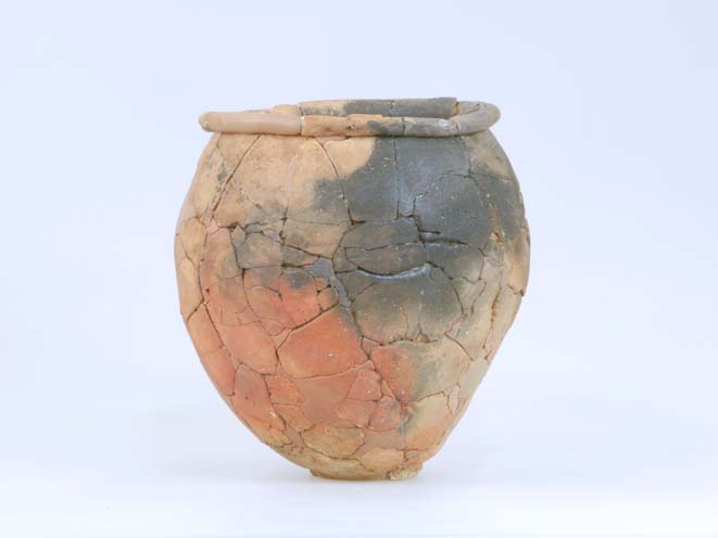 朝鮮系無文土器甕 （弥生前期） | マイコレ（埋蔵文化財コレクション 