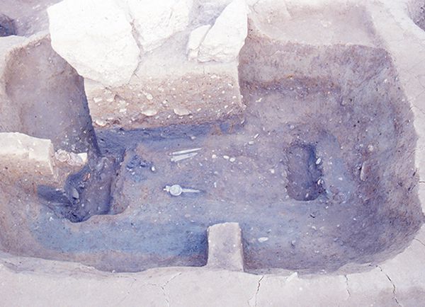最古の王墓」と注目された3号木棺墓